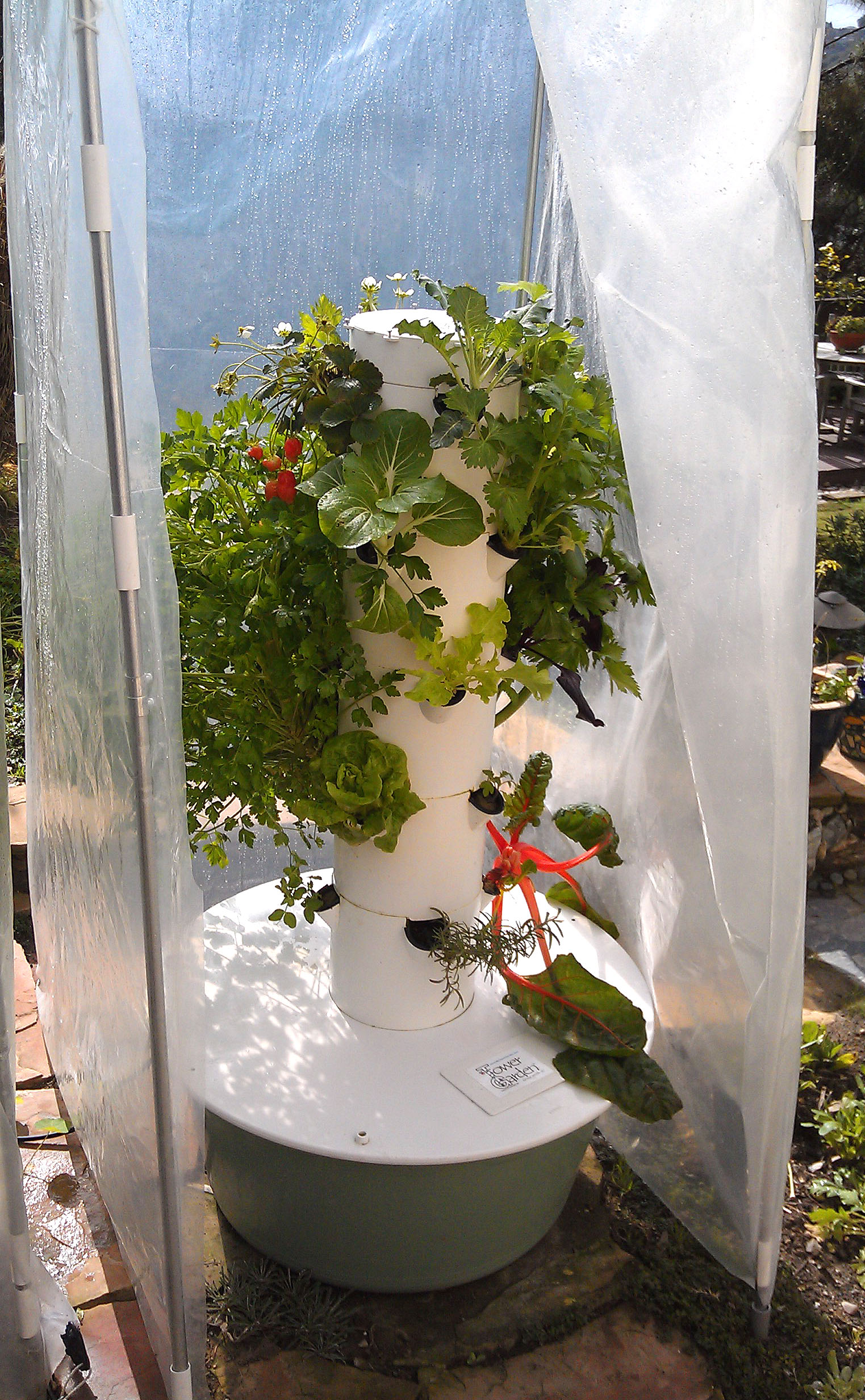 Tower Garden Season Extenders, Solar Pumps, Edible seedlings, and plant